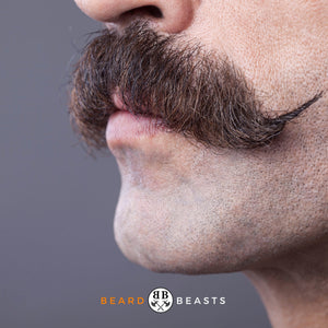 How To Train Your Mustache - Beard Beasts