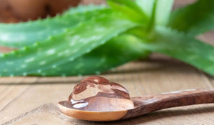 Aloe Vera For Beard Growth - Beard Beasts