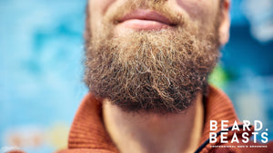 Close-up of a textured beard with natural red tones blending with brown and blonde, perfect for exploring the question, Why Is My Beard Turning Red