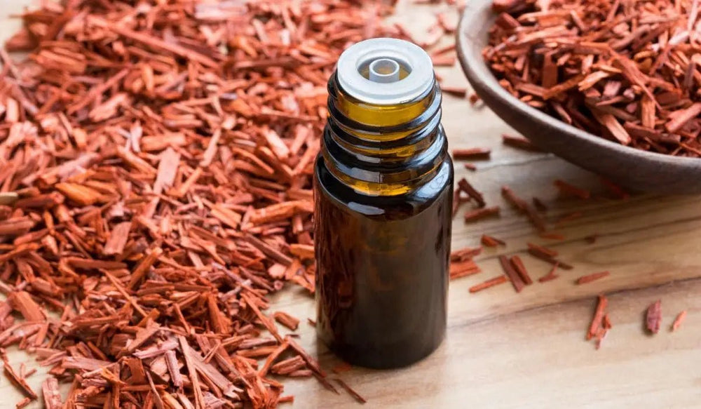 Sandalwood Oil For Beard: All The Benefits And Beard Growth - Beard Beasts