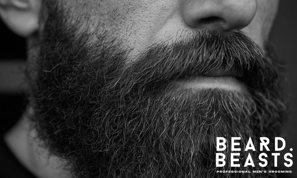 Close-up of a well-groomed beard highlighting texture and softness, perfect for understanding beard care.