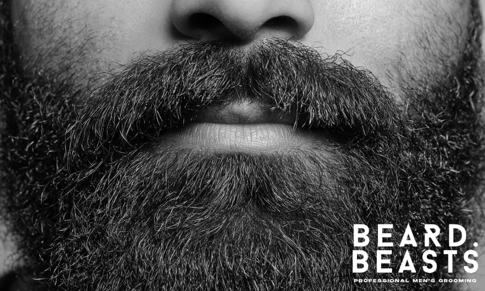 Close-up of a well-groomed beard, highlighting texture and fullness, illustrating the factors that influence how long beard oil takes to work, such as beard type and consistency in application.