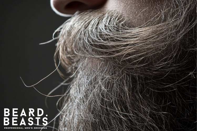 Close-up image of a rough beard with dry and coarse strands, highlighting the texture and need for proper grooming, featuring the Beard Beasts logo in the corner.