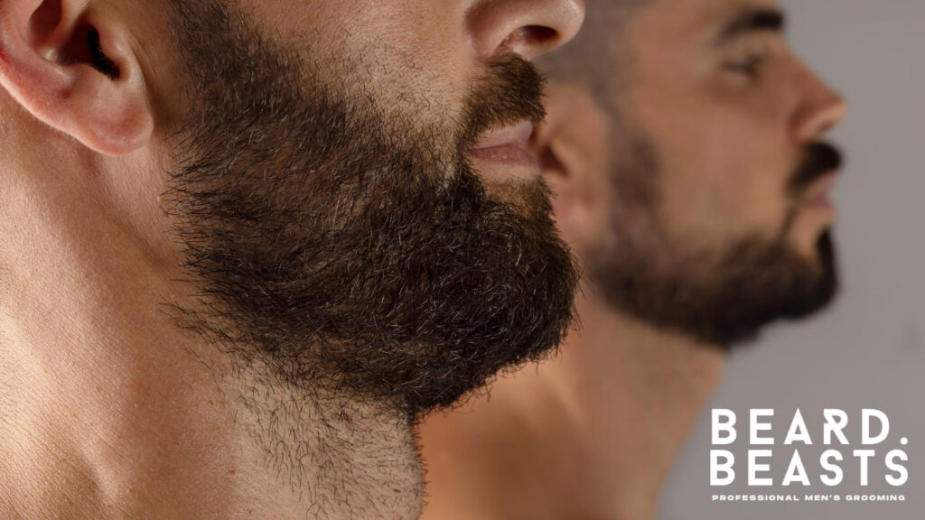 Close-up profile of a man’s neckline with a thick, well-groomed beard, emphasizing the transition between the beard and the neck area. The image highlights the importance of defining and maintaining a clean neckline, providing visual guidance for those asking, 'Should I shave my neck when growing a beard?' The blurred background features another bearded man, reinforcing the focus on beard grooming and styling.