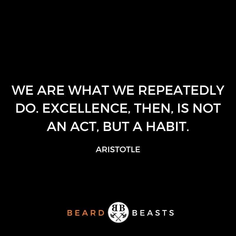be a better man quotes "We are what we repeatedly do. Excellence, then, is not an act, but a habit."