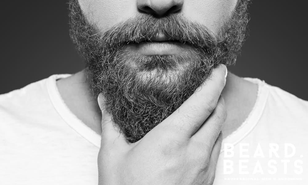 Close-up of a man touching his well-groomed beard, symbolizing the results of consistent beard upkeep and daily maintenance routines.