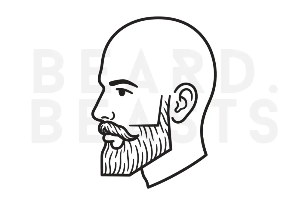 Boxed 20mm beard vector illustration showing a short beard with controlled cheek lines, clean neckline, and squared lower edge