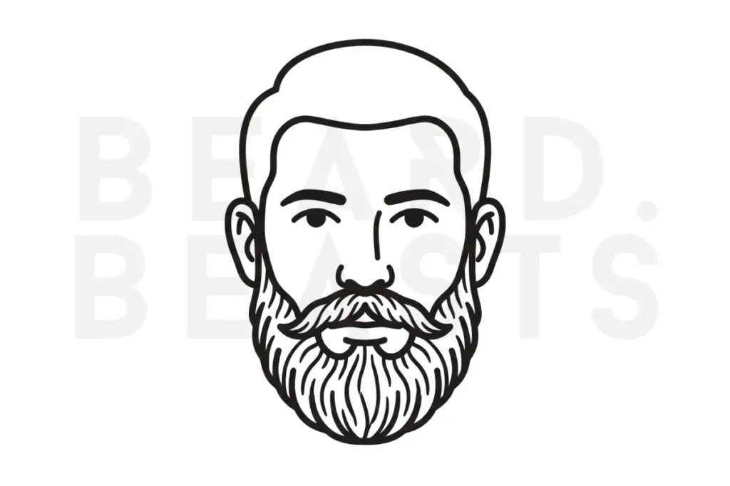 Natural full 20mm beard vector illustration showing a full short beard with clean cheek lines and full jaw coverage