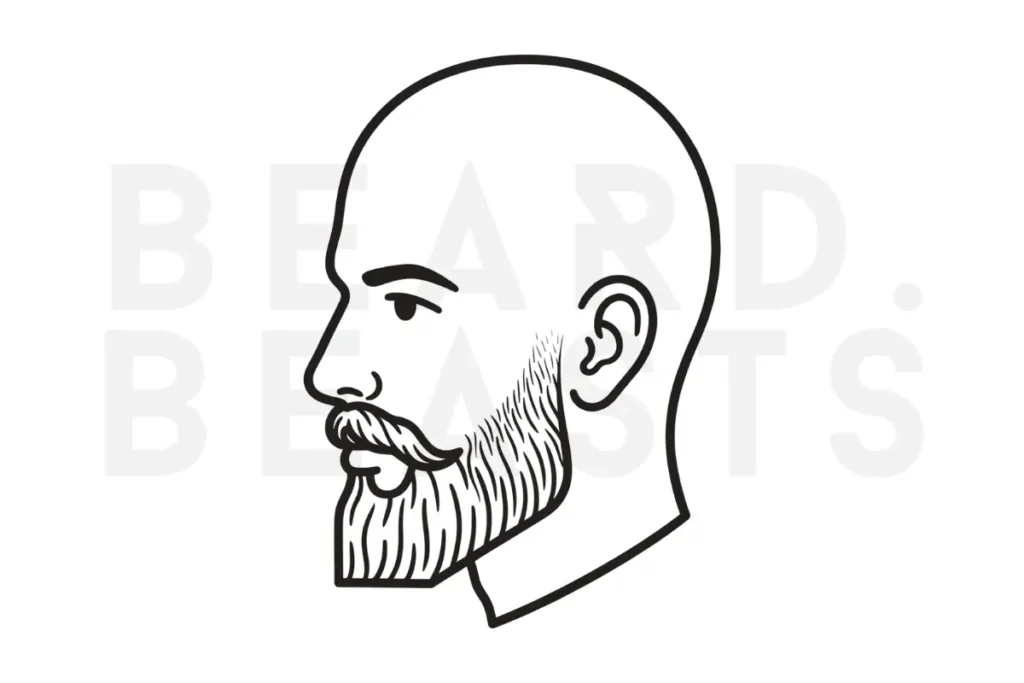 Tapered 20mm beard vector illustration showing reduced cheek weight, fuller jaw coverage, and a clean lower beard shape