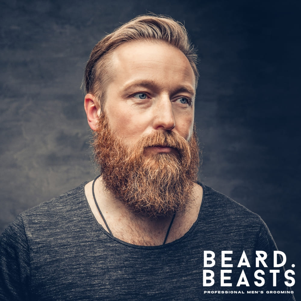 Portrait of a man with a striking red beard, styled neatly, and light brown hair, posing against a dark, textured background. The Beard Beasts logo is prominently displayed, emphasizing professional men's grooming. Ideal for content addressing the question, Why Is My Beard Turning Red?