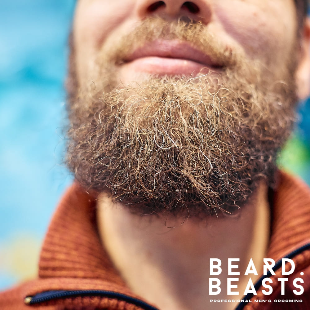 Close-up of a bearded man wearing an orange jacket, showcasing a thick, textured beard with shades of red, brown, and blonde. The Beard Beasts logo is visible, highlighting professional men's grooming expertise. Perfect for content exploring the topic, 'Why Is My Beard Turning Red?