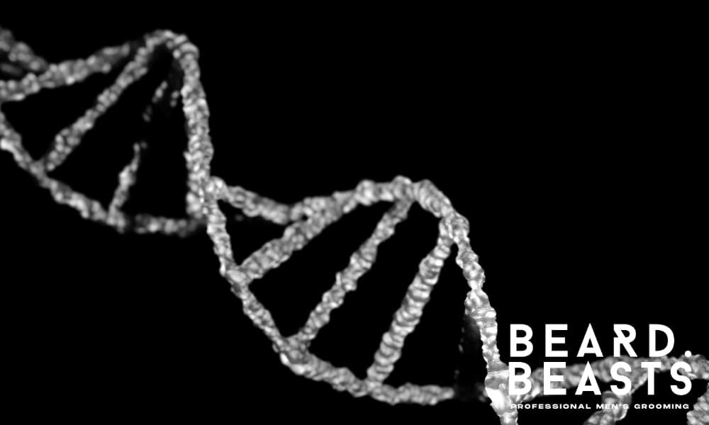 Close-up of a 3D DNA double helix strand on a black background, symbolizing genetics, biology, and science innovation – Beard Beasts professional men's grooming branding.