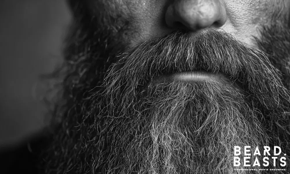 Close-up of a thick, well-groomed beard showing strong facial hair, highlighting the benefits of proper beard care over using Vaseline.