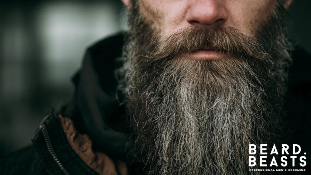 Close-up of a man with a long, thick, and well-groomed beard, showcasing healthy facial hair achieved through proper beard care and carrier oils.