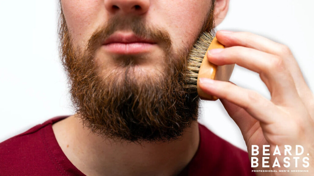 Close-up of a man brushing his scraggly beard with a boar bristle beard brush to train hair direction and improve grooming routine.