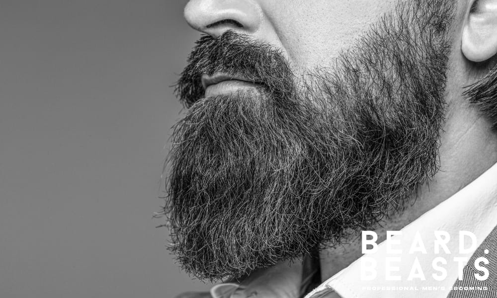 Beard Grooming Mistakes Men Still Make in 2025 - Beard Beasts