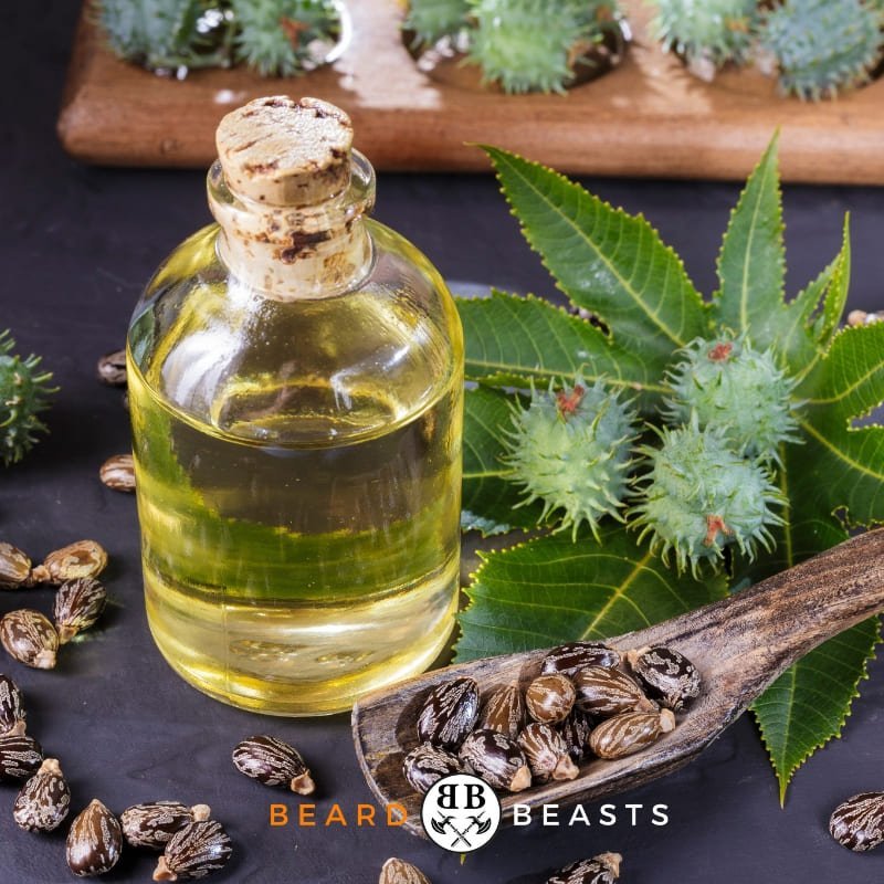 Castor Oil For Beard Care - Beard Beasts