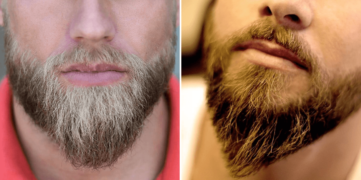Ducktail Beard: The Ultimate Guide to Styles