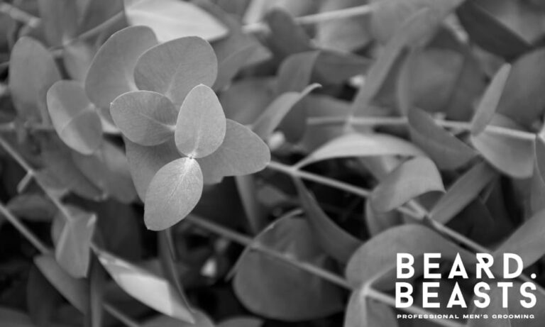 Eucalyptus Oil for Beard Care: Benefits