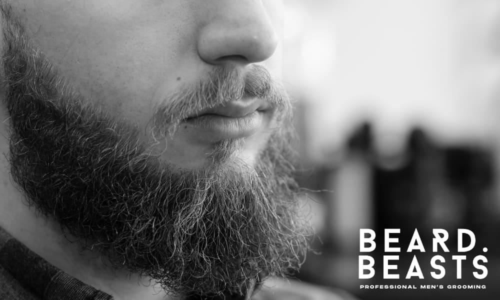 How To Tame Beard Hair Sticking Out - Beard Beasts