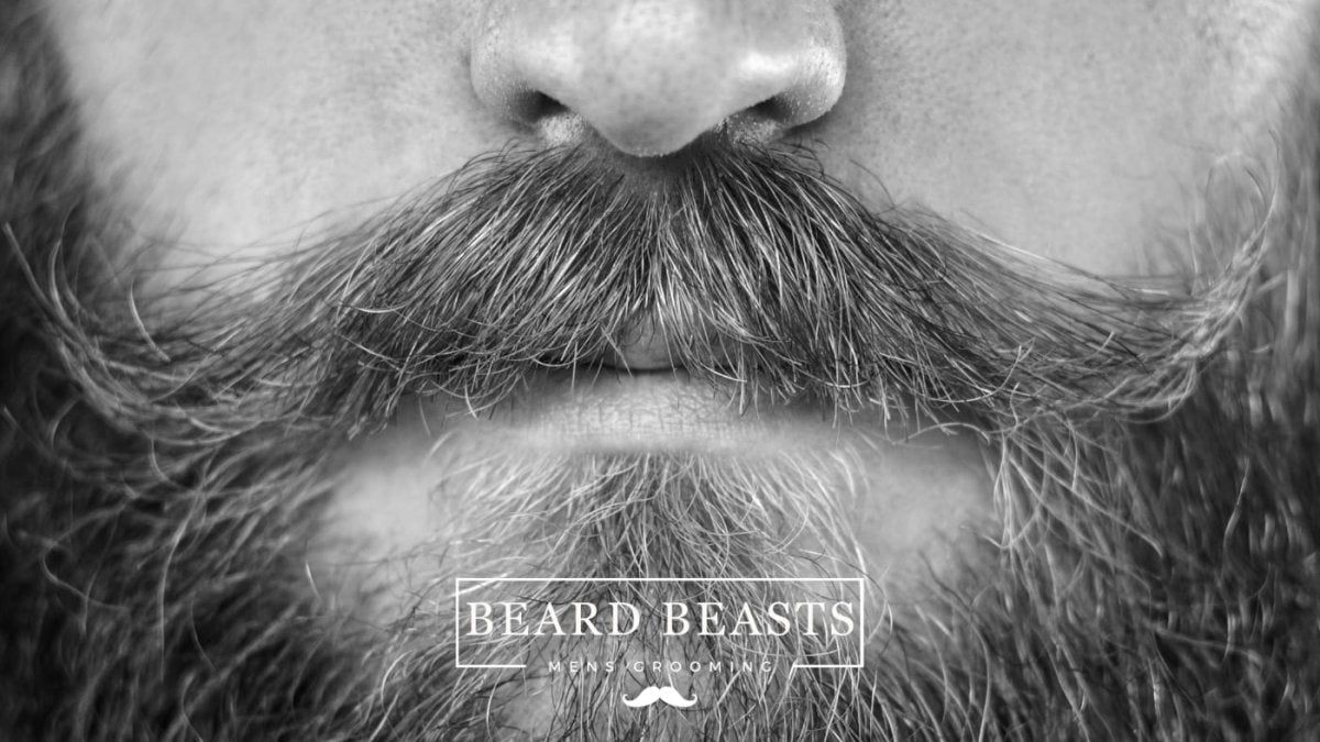 Ingrown Mustache Hair - Beard Beasts