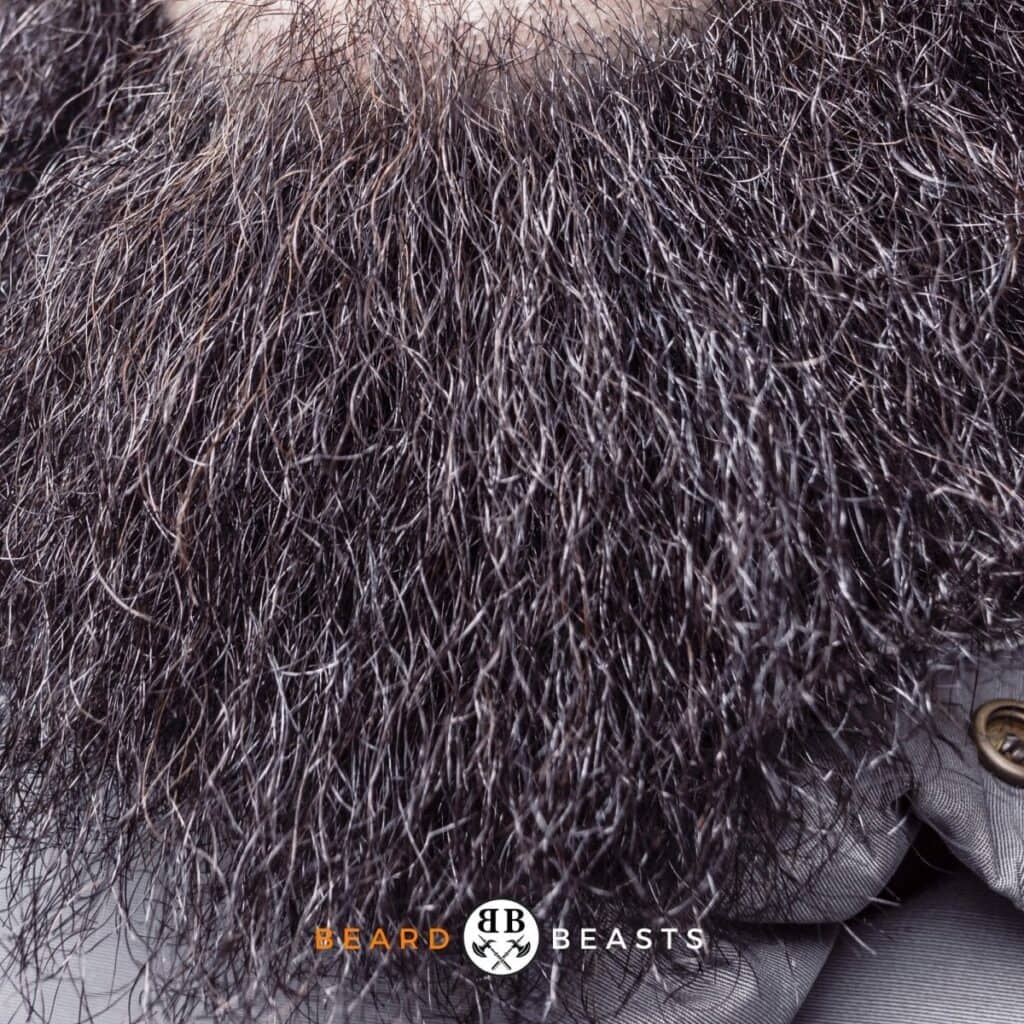 Neckbeard - Beard Beasts