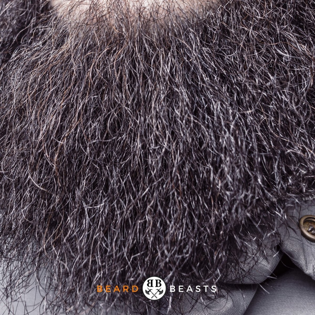 Neckbeard - Beard Beasts