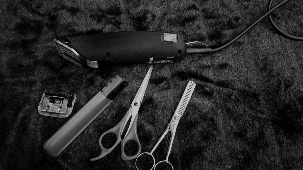 Number 5 Buzz Cut Guide: Mastering the Classic - Beard Beasts