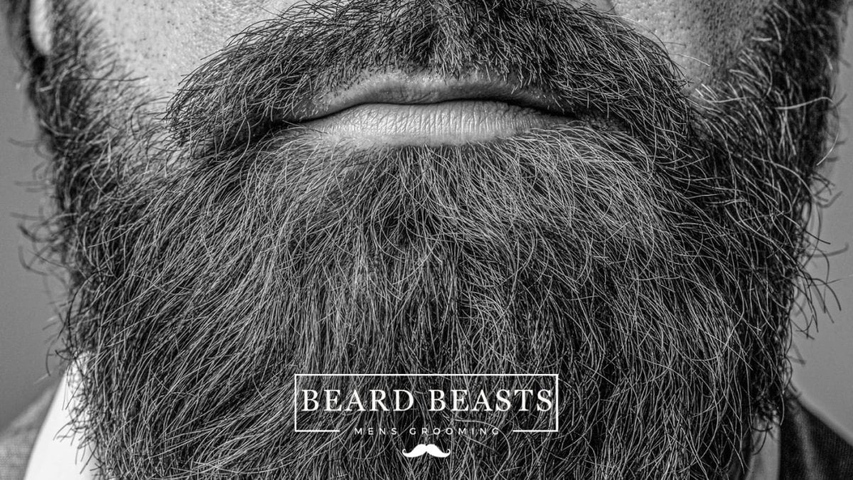 Rough Beard? How to Fix It & Get a Soft Beard - Beard Beasts