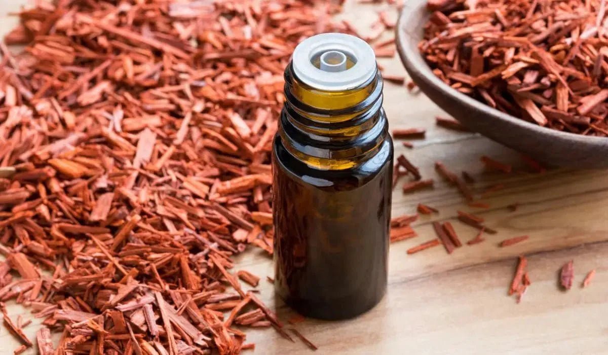 Sandalwood Oil For Beard: All The Benefits And Beard Growth - Beard Beasts