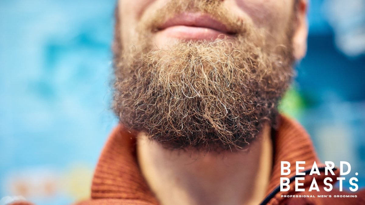 Why Is My Beard Turning Red? The Science of Red Beards - Beard Beasts
