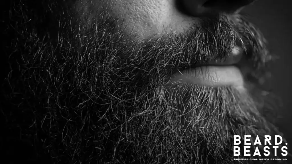 Close-up of wiry beard hairs showing coarse texture before softening treatment.