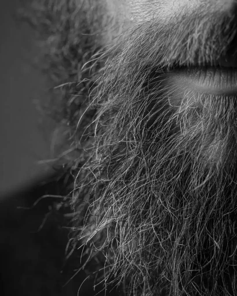 Close-up of dry beard hair with split ends and rough strands, showing how beard breakage can make the ends look thin and uneven.